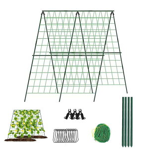 Ax |x AIx gݗĂ񂽂IxZbg 90cm 90cm  p LE x S[ イlbg  