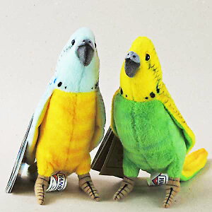 HANSA nT ʂ ZLZCCR 21