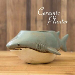 �Z���~�b�N�v�����^�[�mShark �T���n