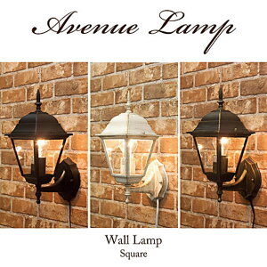 IVȊO[sAe[XgAxj[EH[vXNGA