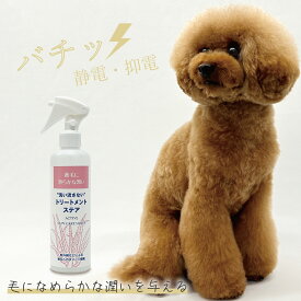 【アジル】トリートメントステア