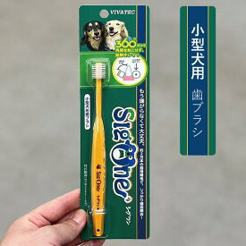 シグワン 小型犬用歯ブラシ（全犬種用）歯石　歯垢【ネコポス配送】【ポスト投函】