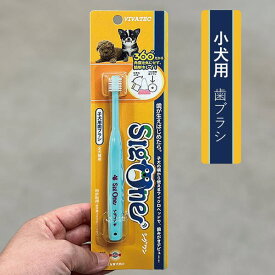 シグワン 歯ブラシ（子犬・超小型犬・小型犬用）歯みがき　歯石　歯垢　超極細毛　磨きやすい360°型【ネコポス配送】【ポスト投函】