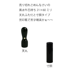  @l @s Њۈ 菑 蒤dグ@c21~ J ͂ oL \҈ s yz  @l@X^[gAbv @ ɐ N̗ǂ g