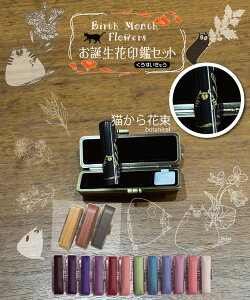   s lR ͂ 쐬 yLԑ aӃZbgz̈ ӃP[XtZbg /ck10.5/12/13.5/15 mm60~ya   ԁzp q Ԃ