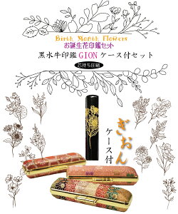   s ͂ 쐬 y킢 ԁz ck̈ GIONӃP[XtZbg TCY/10.5/12/13.5/15 mm60~ya   ԁzP[X  jp q 