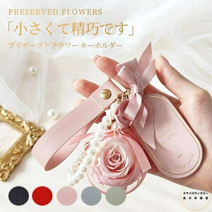 vU[uht[ L[z_[ ͂Ȃ  FB 蕨 ޏ  j lC v[g a LO ̐l ސEj zj w  ̓ Mtg