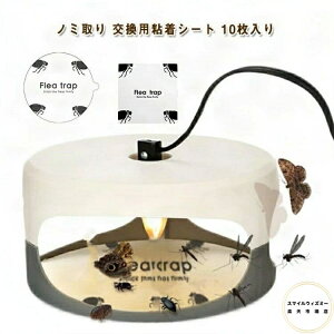 m~ 10 ߒ pSV[g m~ m~gbv m~ Q΍ m~ pV[g m~ގ  m~C nGC grVe nG m~_jގ 