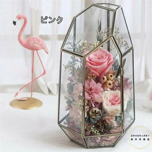 4FWJ@̓ vU[uht[ v[g Mtg  LOv[g a j ~ 蕨 Vzj JXj ސEj LOi oYj Əj } L