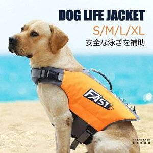  CtWPbg WPbg ~ ybgpCtWPbg j̗Kpi  ~} ybgCtWPbg  ˃C Sȉj⏕ ̈S j~