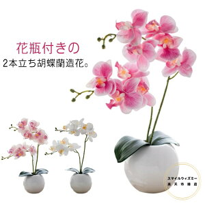 Ӓ  G} 2{ ~jTCY Ӓ A[gt[  STCY j v[g Mtg z JX J@j  ̓ ̓ hV̓ { {݂ 