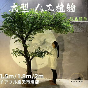 ^ tFCNO[ lHϗtA lHA tFCN ~ ԃO[  a ͂Ȃ ̊ a N₩ȐF {̃^b` lH lHA lH oii V~[Vc