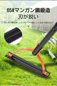 蓮@ K[fjO @ K[fjO ނpi G   ܂ܑނ   뉀 |   |p G邭