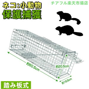 ߊl L  p ܂肽ݎ[ K[ht C^` nNrV ߊl@ ߊlAj}gbv ǔL ΍ ObY E ߊl  ACO} ˂ lR  Aj}L