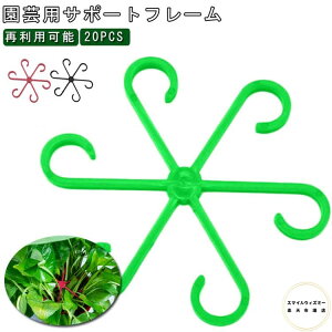 ŒtH[N 20Pcs |p |p xz_[ Ap | AT|[g A U K[fjO |p |pT|[gt[ AT|[g xŒ ėp\ 
