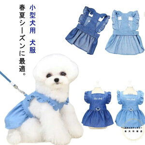 fjn[lX ^p t hbOEGA s[X  ybg L o  U  t   ybgpXJ[g  ^p