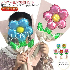 ƃo[ ԑ u[P ʐ^Be 30Zbg 莝o[ o[u[P o[ ԑ tHg  D a o[ tBD t