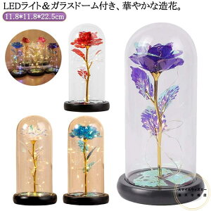   v[g ͂Ȃ KXh[ v[g ͂Ȃ Cgt CeA t[  LO ̓ S[hbL o^C hV̓   h