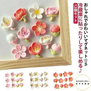 マグネット ミニマグネット 磁石 飾り 12個セット 可愛い 冷蔵庫 オフィス 花 花柄 冷蔵庫マグネット 飾りマグネット 装飾 インテリア 小物 雑貨 キッチン ステーショナリー 文具 おしゃれ か