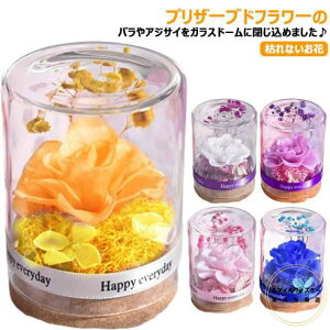 vU[uht[ KXh[ Mtg ԑ o v[g ͂Ȃ {gt[ vU[uht[ av[g j ̓ ޏ  v[g a j