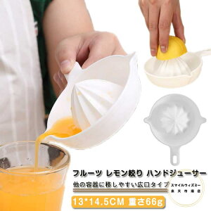 i t[c i nhW[T[ 蓮 t[ci ڂ vX W[T[ ʏ`  ʕ i t[cڂ T[ {i 