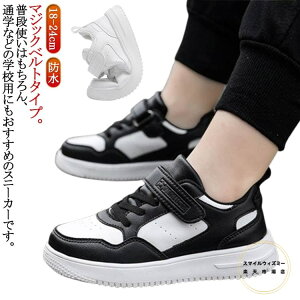 WjA ̎q LbY Xj[J[ C [Jbg q ɂ hXj[J[ j̎q h ʊwC V[Y  j q }WbNe[v 18cm`24cm wZ w w ₷ y