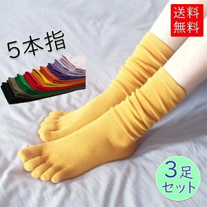 C fB[X 5{w nC\bNX 3Zbg  ₦ ΍ H ~  Vv x[VbN 킢  ^ R hL