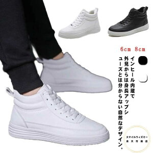 V[Nbg Xj[J[ ubN  fB[X Y Cq[Xj[J[ [XAbv V[Nbg Cq[V[Y  gȂXj[J[ 6cm 8cm V[NbgV[Y