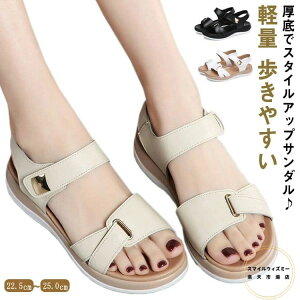 [q[ EGbW\[ ₷ 3.5cmq[ EGbW\[ y Gi ɂȂ fB[X v T_ Ȃ v  ʊw ʋ ubN x[W zCg  