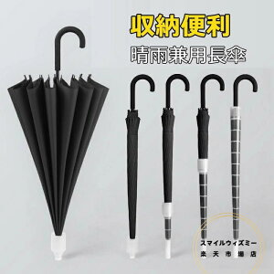 P Y  P JP ^b` 傫120cm ~J΍ amp rWlXP ϕ ^b`P naP H 16{ JpP St