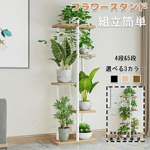 y6%OFFN[|zzIzt[X^h ACA ԑ 4i 5i  /O /x_ X  u |bN K[fjObN v^[ |bg K[fb