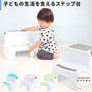 ݑ q qǂ 2i i Xebv c ǂ gC  ω׏d90kg (O[)