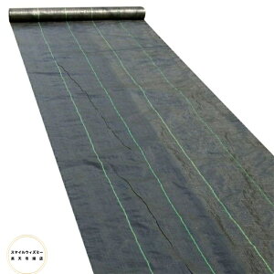 hV[g _pV[g 悯V[g V[g Gh~ ϗpN 2-3N 0.3mm Gh  lHŉ 1mx10m 1mx15m 1mx50m Iׂ3TCY