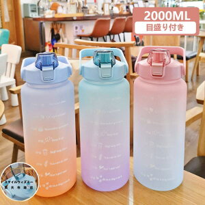 y6%OFFN[|zEH[^[{g  2bg  2000ml ^C}[J[ Rh~ Xg[t 킢  ̎q j̎q ڐ  q jq q LbY  ␅ 