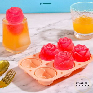 VR XM X 6 XM Wt X  VR[h oȒP X e X^ ACXubNg[ ACXN[ƒp  كObY pr DIY