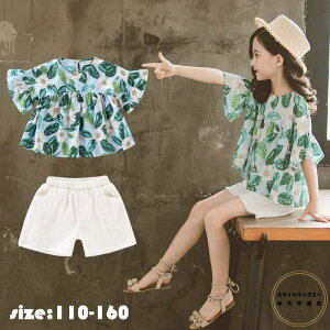 ؍q ZbgAbv ̎q  JWA i` gbvX+Y{ ԕ [t  pc ㉺Zbg  vg  ][g LbY  ꂢ r[` //