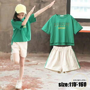 ؍q ZbgAbv tVc+Y{ JWA i` pc   ㉺ZbgX|[cEFA  ][g ̎q LbY ǂ  ꂢ ^ ///w