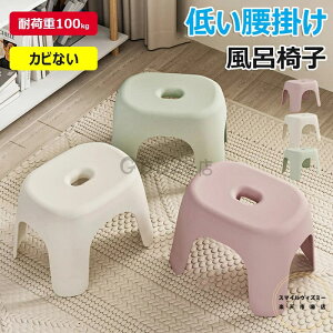 y6%OFFN[|zzIzC֎q CCX g`FA oX`FA 1 2 t[g C gObY uJE^[uy oXXc[  | Jr