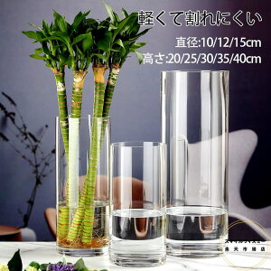ホルムガード フラワーベース 割れない ガラス ベース 強度 円柱 小さい ドライフラワー プリザーブドフラワー 造花 フェイク グリーン 花びん 花瓶 かびん 一輪挿し 花器 シンプル 透明 ク