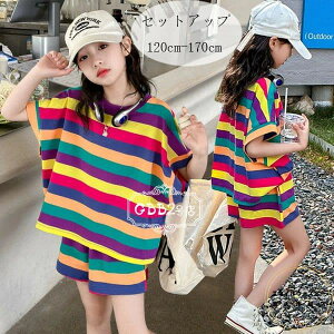 q ̎q ĕ ZbgAbv LbY JWA F XgCv ㉺Zbg LbY W[W t@bV 2_Zbg TVc+V[gpc 킢 t@bV WjA