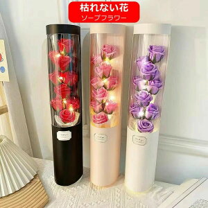 ͂Ȃ \[vt[ ỏԑ   a LO v[g  Mtgj j ސEj v 2023  60 70 uU[uht[