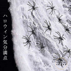 nEB  w偂̑ w偂̎ 100g N 30Zbg  t ~ XpC_[EFu nEBObY RXv ObY p[eB[ CeA  XpC_[EFu