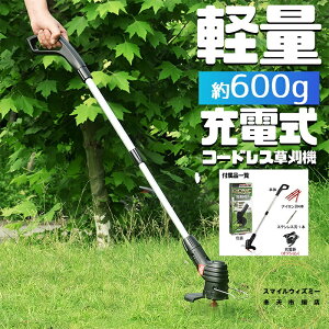 [d@ R[hX@ eʃobe y0.6kg Lk@\t jΉ Ў葀\  2025ŐVf 2֐nt ߎG΍pi