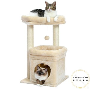 Lbg^[ ~j L^[ ^ Ⴂ  u lC ܂Ƃ|[ R L̂ RpNg ȃXy[X  S LnEX W] 68cm ݌vŏȃXy[X̔LpV 