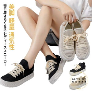 Xj[J[ fB[X  r ₷ y ʋC bVf EH[LOV[Y HV tH  Vv  JWA w Z q 傫TCY ₷ 