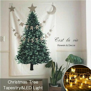 NX}Xc[ ^yXg[ NX}X WG[Cg  Ǌ| c[ tFA[Cg  NX}X I[ig