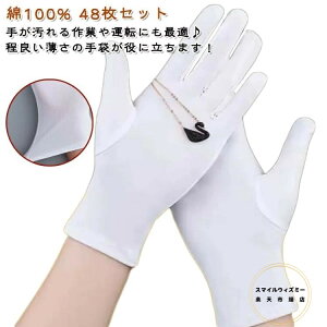 ӎ Ɨp 48Zbg Xgb` 24gZbg Rbg ĝ   100%  dp R rh~ hCo[ ^] X Mdi fB[X