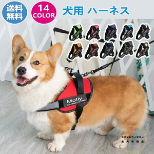  n[lX ^ ^ ^  pn[lX ̃n[lX 킢 Ȃ ɂ EȂ Eɂ lC s⏕ \tgn[lX EGAn[lX ȒP bN 