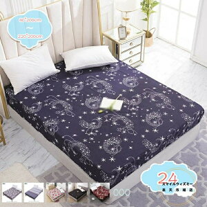 {bNXV[c zedl N TT K ېOK |GXe100 }bgXJo[ NC[TCY _炩 Ȃ݂̗ǂ k  킢 hk h_jhL 