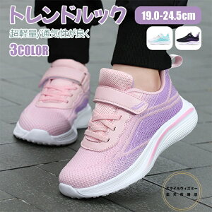 Xj[J[ V[Y Y fB[X _CGbgV[Y X|[cV[Y YV[Y WMO [Jbg ₷ ^C qC h _炩 }\ l t@Xi[ 